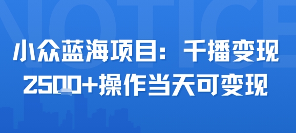 小众蓝海项目，千播变现2.5k+操作当天可变现-chywc