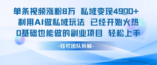 单条视频私域变现4.9k+利用AI做私域玩法 已经开始火热0基础也能做的副业项目轻松上手-chywc