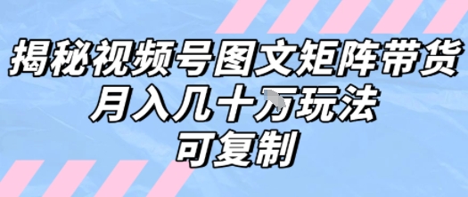 解密视频号图文矩阵带货，月入几个W的打法，可复制-chywc