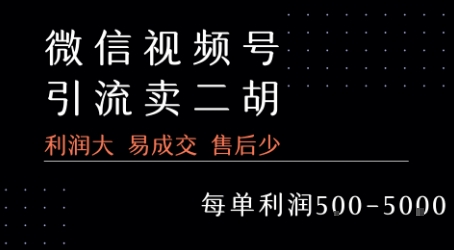 视频号卖二胡教程，利润大 易成交 售后少，一单利润5张+-chywc
