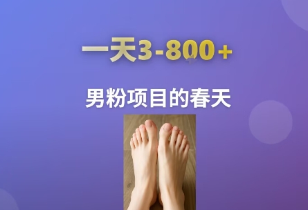 AI一键生成美女素材，一天收益3-8张，男粉项目的春天-chywc