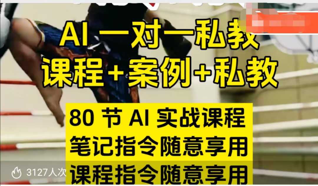 AI指令实战课，课程+案例，80节AI实战课程，笔记指令随意享用，课程指令随意享用(更新7月)-chywc