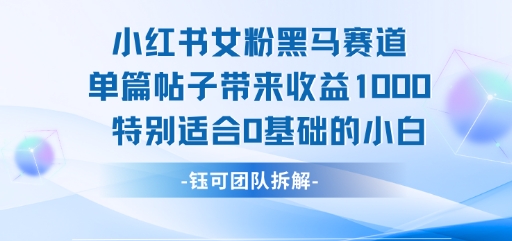 小红书女粉黑马赛道单篇帖子带来收益1k+，特别适合0基础的小白-chywc