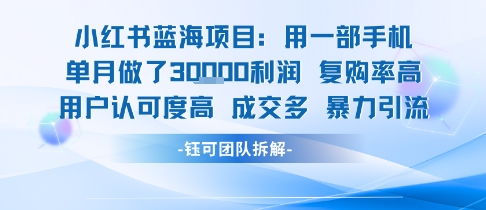 小红书蓝海项目，一部手机单月做了3W利润，小白也能月入过1W用户认可度高成交多-chywc