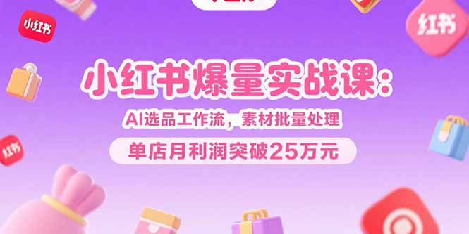 小红书爆量实战课：AI选品工作流，素材批量处理，单店月利润突破25万元-chywc