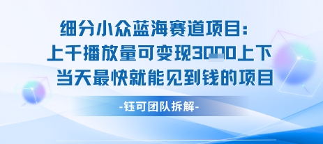 小众蓝海赛道项目：当天变现1k+适合新手操作 +适合长期玩-chywc