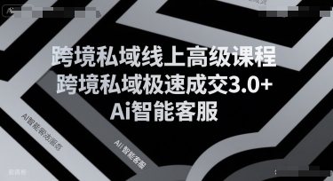 跨境私域线上高级课程，跨境私域极速成交3.0+Ai智能客服-chywc