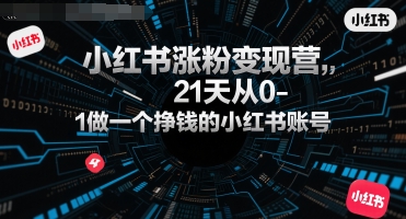 小红书涨粉变现营，21天从0-1做一个挣钱的小红书账号-chywc