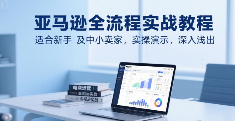 亚马逊全流程实战教程，适合新手及中小卖家，实操演示，深入浅出-chywc