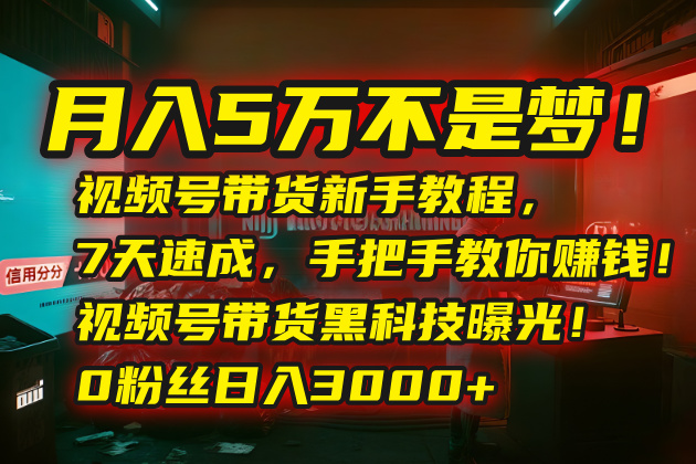 月入5万不是梦！视频号带货新手教程，7天速成，手把手教你赚钱！视频号…-chywc