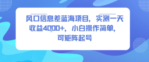 风口信息差蓝海项目，实测一天收益4k+，小白操作简单，可矩阵起号-chywc