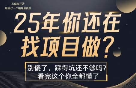 25年，你还在疯狂的找项目吗？别傻了，看完这个你都懂了【揭秘】-chywc