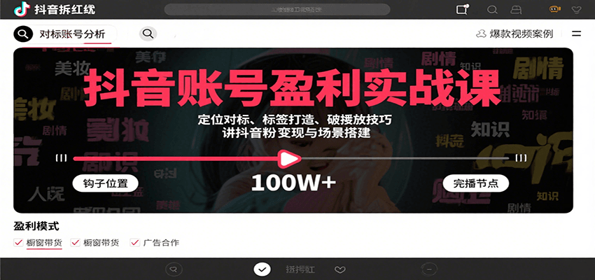 抖音账号盈利实战课，定位对标、标签打造、破播放技巧，讲涨粉变现与场景搭建-chywc