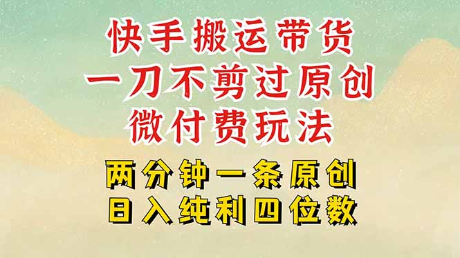快手黑科技搬运带货，一刀不剪过原创，微付费投流玩法，轻松日入四位数…-chywc