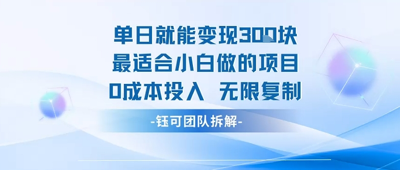 单日就能变现3张最适合小白做的项目0成本投入 无限复制-chywc