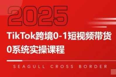 TikTok跨境0-1短视频带货，系统拆解TikTok跨境带货全链路，实现跨境可持续盈利-chywc