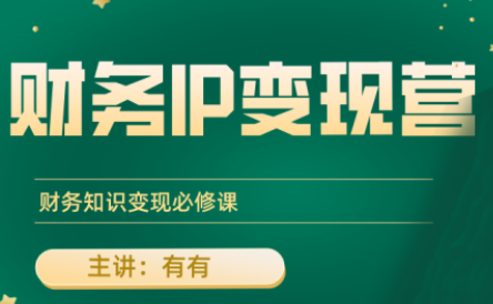 有有老师·财务IP变现营，财务知识变现必修课-chywc