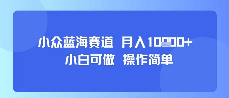 小众蓝海赛道，小白可做，操作简单，每天30分钟，月入1W+-chywc