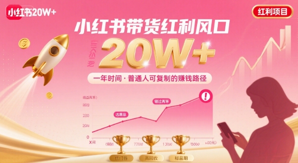 一年时间靠小红书带货项目年入20w+，最不能错的大红利项目-chywc