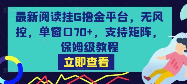 最新阅读挂G撸金平台，无风控，单窗口70+，支持矩阵，保姆级教程【揭秘】-chywc