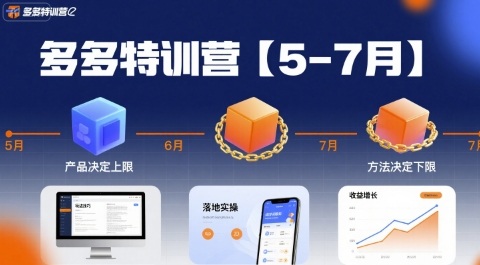 多多特训营【5-7月】产品决定上限，方法决定下限，各种玩法技巧落地实操-chywc