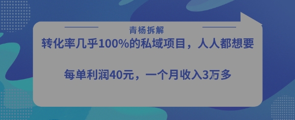 转化率最高的私域项目，每单利润40-50米，月入过1w-chywc