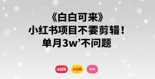 小白可来 小红书项目不需要剪辑 单月3w不是问题-chywc