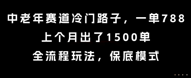 中老年赛道冷门路子，一单788，上个月出了1500单，全流程玩法，保底模式【揭秘】-chywc
