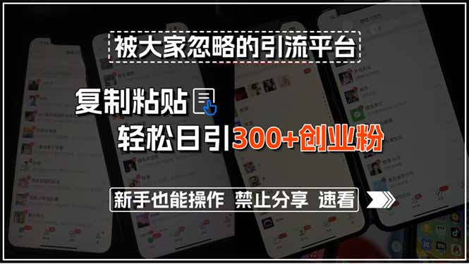 被大家忽略的引流平台，复制粘贴轻松日引300+创业粉，新手也能操作，禁…-chywc