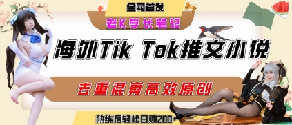 海外tiktok小说推文暴力项目，高停留率，高转化率，上手后一天搞顿饭钱不是问题-chywc