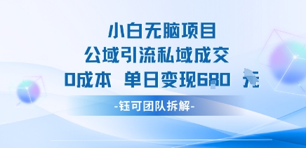 小白无脑项目公域引流私域成交0成本单日变现680米-chywc