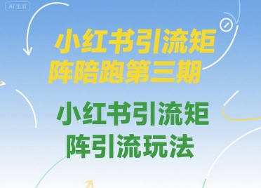 小红书引流矩阵陪跑第三期，小红书引流矩阵引流玩法-chywc