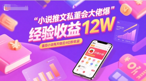 小说推文私董会大佬爆单经验分享收益12W，番茄小说每天稳定4位数收益-chywc
