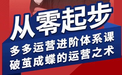 海神·拼多多运营进阶系统课(更新8月)-chywc