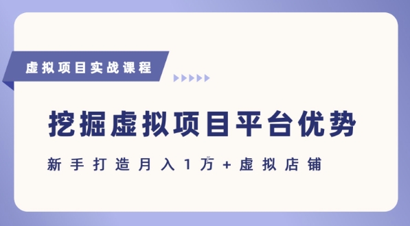 抓住虚拟项目各平台优势，新手轻松月入1W+(给出具体建议)-chywc