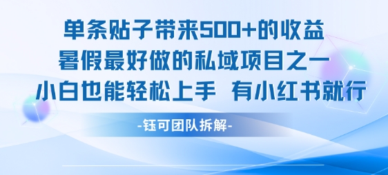单条贴子带来5张的收益，暑假最好做的私域项目之一，小白也能轻松上手，有小红书就行-chywc