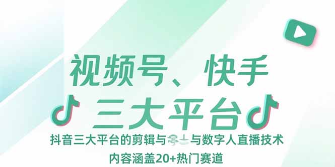 视频号、快手、抖音三大平台的剪辑与数字人直播技术，内容涵盖20+热门赛道-chywc