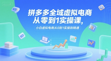 拼多多全域虚拟电商从零到1实操课，小白虚拟电商从0到1实操到精通-chywc