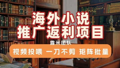 海外小说推广返利项目，视频投喂， 一刀不剪，矩阵批量-chywc