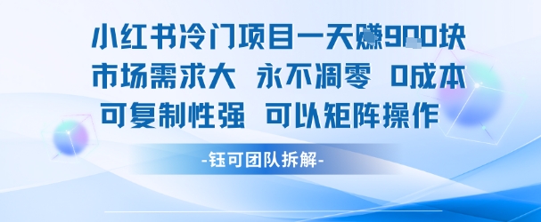 小红书冷门项目一天收益9张，市场需求大，0成本，可复制性强可以矩阵操作-chywc