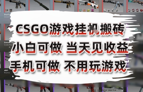 CSGO游戏挂G搬砖，小白纯手机即可操作，不用电脑打游戏，日入3张+，副业网创项目【揭秘】-chywc