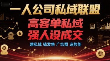 一人公司私域联盟，高客单私域，强人设成交，建私域 搞发售 广结盟 造势能-chywc
