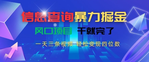 信息查询暴力掘金，一天三条视频，轻松变现四位数，风口项目干就完了【揭秘】-chywc
