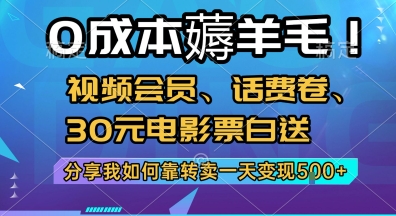 0成本薅羊毛!视频会员、话费卷、30元电影票白送，分享我如何靠转卖一天变现5张+【揭秘】-chywc