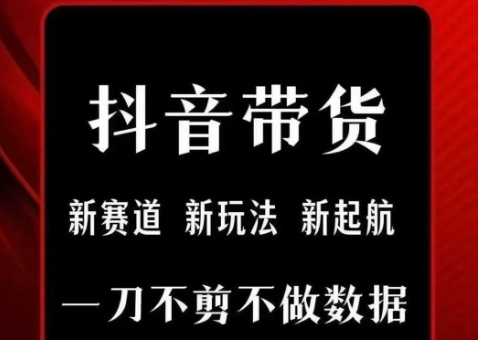 抖音短视频一刀不剪带货，不剪辑，不直播，每天发个视频，等着出单获取带货佣金-chywc