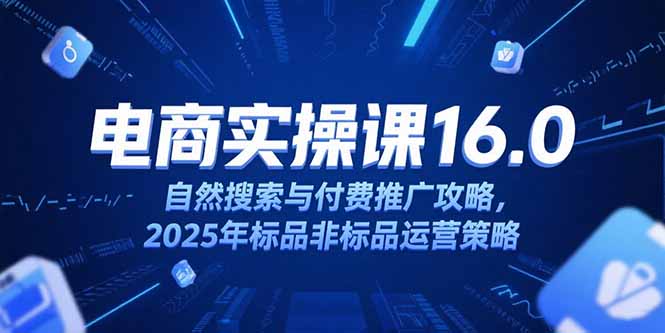 淘宝电商运营课16.0，自然搜索与付费推广攻略，2025年标品非标品运营策略-chywc