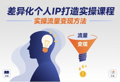 差异化个人IP打造实操课程，实操流量变现方法-chywc