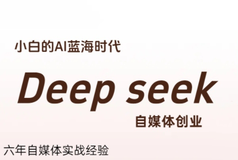 冰冰老师·普通人如何利用Deepseek创业-chywc