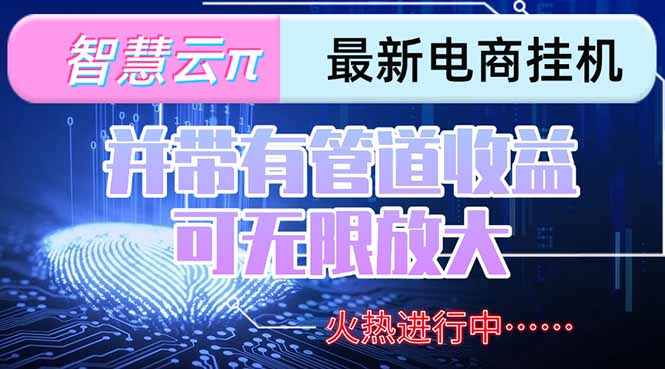 智慧云π电脑挂机单机每天收益300—500+ 并带有团队管道收益 可无限放大-chywc