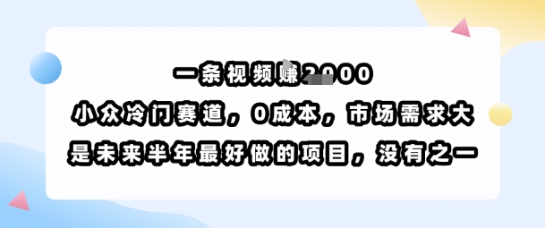 一条视频挣1k，小众冷门赛道，0成本，市场需求大，是未来半年最好做的项目，没有之一-chywc